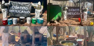 Guardia Nacional y Ejército Mexicano aseguran laboratorio clandestino para la elaboración de droga sintética en Michoacán