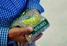 Lenteja michoacana se venderá en 25 mil tiendas del Bienestar en todo el país: Sader
