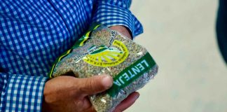 Lenteja michoacana se venderá en 25 mil tiendas del Bienestar en todo el país: Sader