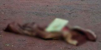 Localizan a un hombre sin vida sobre la carretera Buenavista-Los Reyes