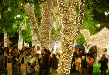 ¿Qué hacer hoy sábado en Morelia? Disfruta la magia navideña en la ciudad