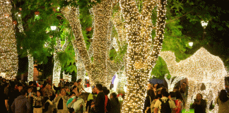 ¿Qué hacer hoy sábado en Morelia? Disfruta la magia navideña en la ciudad