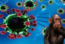 Inglaterra detecta nueva variante de mpox: ¿qué síntomas presenta?