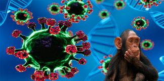 Inglaterra detecta nueva variante de mpox: ¿qué síntomas presenta?