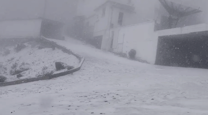 Primera nevada del año cubre de blanco el Cofre de Perote