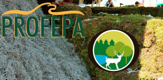 Van por freno al comercio ilegal de heno y musgo en temporada navideña