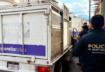 Retiran 50 perros de una casa en el centro de la ciudad