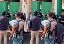 Protección Animal se niega a devolver 15 perros rescatados pese a orden del Ministerio Público