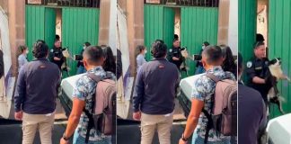 Protección Animal se niega a devolver 15 perros rescatados pese a orden del Ministerio Público