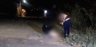 Hallan a joven acribillado en el municipio de Tarímbaro.