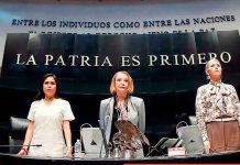 Laura Itzel Castillo: reforma electoral de Sheinbaum será tan profunda como la judicial