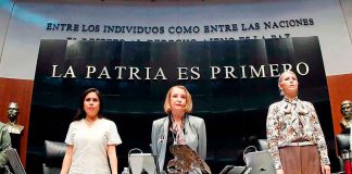 Laura Itzel Castillo: reforma electoral de Sheinbaum será tan profunda como la judicial