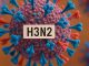 Primer caso de “supergripe” H3N2 confirmado en México