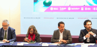 Certificado Laboral Agrícola garantizará salud y seguridad social en zonas aguacateras: Sedeco