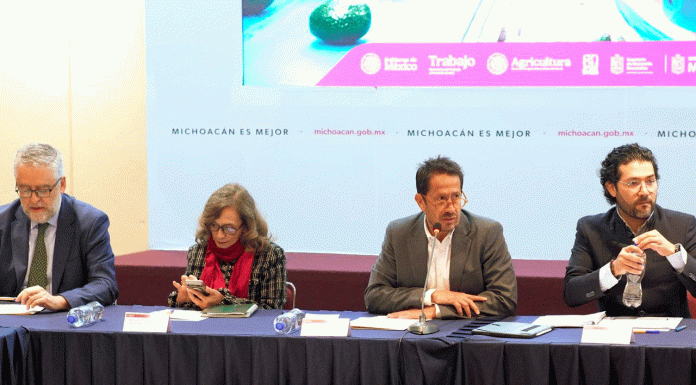 Certificado Laboral Agrícola garantizará salud y seguridad social en zonas aguacateras: Sedeco