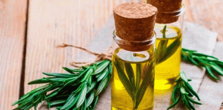 Aceite de romero: qué beneficios reales tiene para el cabello y cuándo puede ayudar