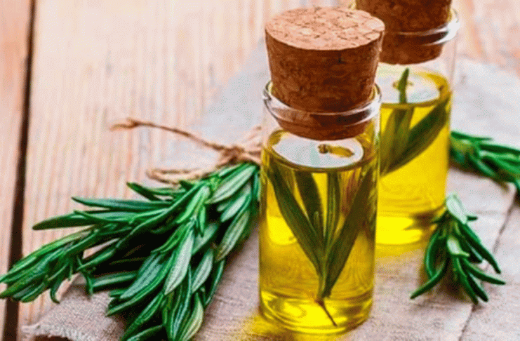 Aceite de romero: qué beneficios reales tiene para el cabello y cuándo puede ayudar