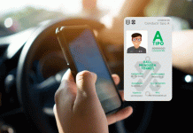 Licencia de conducir digital: estos estados ya permiten llevarla en el celular