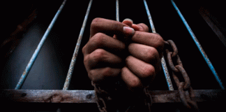 Detienen a Jesús Gabriel Pérez, implicado en desvío millonario vinculado a Inés Gómez Mont