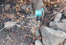 SSP y Defensa desactivan 4 explosivos improvisados en Buenavista