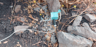 SSP y Defensa desactivan 4 explosivos improvisados en Buenavista