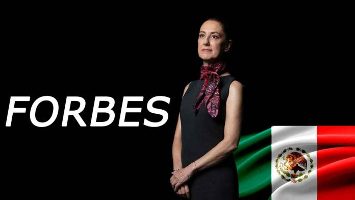 WhatsApp Image 2025-12-11 at 1.08.33 PM