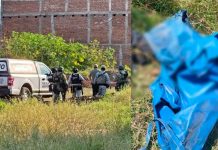 Identifican a hombre hallado asesinado en predio de la colonia Ejidal Sur