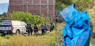 Identifican a hombre hallado asesinado en predio de la colonia Ejidal Sur