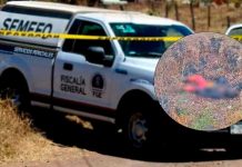 Hallan a hombre muerto y parcialmente calcinado en la región de Contepec