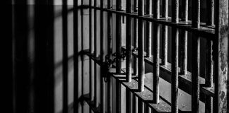 Madre es vinculada a proceso tras muerte de su hijo en ataque de perros