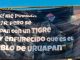 Uruapan despierta bajo mensajes de duelo y resistencia