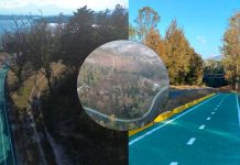 Ciclovía Morelia-Pátzcuaro, una nueva ruta de esparcimiento seguro: Rogelio Zarazúa