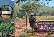 Ejército y Guardia Nacional desmantelan infraestructura criminal en Apatzingán