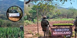 Ejército y Guardia Nacional desmantelan infraestructura criminal en Apatzingán