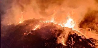 Incendio en recicladora de Uruapan habría sido provocado con bombas molotov