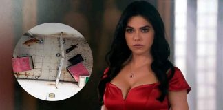 Livia Brito denuncia presunto caso de maltrato animal en la Ciudad de México