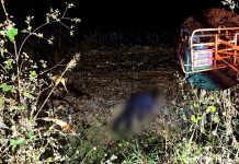 Localizan cadáver con huellas de violencia en el camino a “El Pochote”