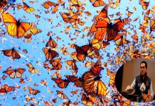 Ejidatarios del oriente de Michoacán no reciben pago por agua que aportan al Sistema Cutzamala