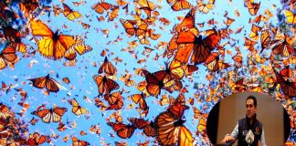 Ejidatarios del oriente de Michoacán no reciben pago por agua que aportan al Sistema Cutzamala