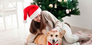 Mascotas y fiestas: cuidados clave después de Navidad en México