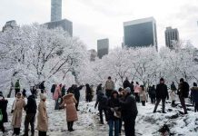 Central Park se cubre de blanco tras la primera nevada de la temporada en Nueva York| Video