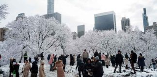 Central Park se cubre de blanco tras la primera nevada de la temporada en Nueva York| Video