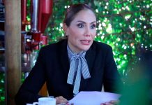 Señala IMPA que no regresará perros rescatados en vivienda del centro histórico pese a documento de la FGE