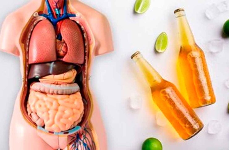 Consumo excesivo de alcohol tras Navidad: efectos en el organismo y riesgos más comunes