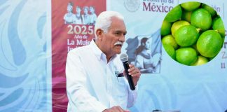 Plan Michoacán destina 720 mdp para apoyo a productores de cítricos en Tierra Caliente: Sader