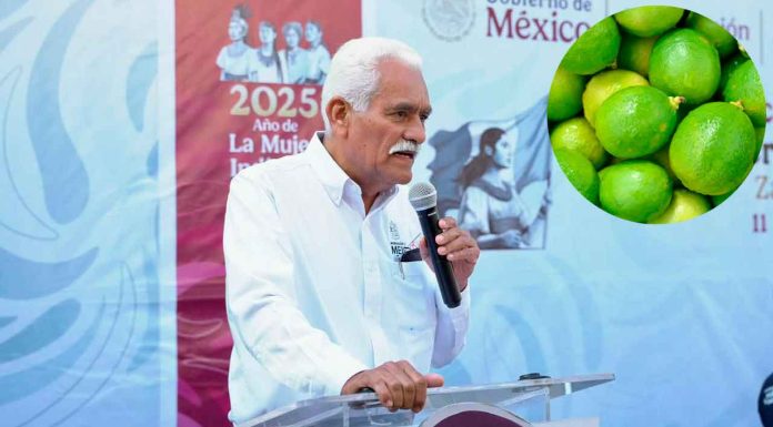 Plan Michoacán destina 720 mdp para apoyo a productores de cítricos en Tierra Caliente: Sader
