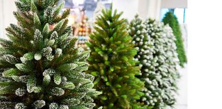Natural vs. Artificial: ¿Qué árbol de navidad cuida mejor al Planeta?