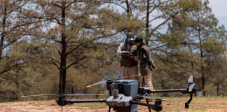 Bosques se fortalecieron con 360 mil semillas dispersadas vía dron en reforestación 2025: Cofom