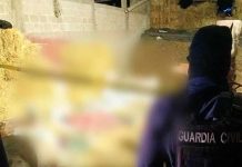 Adulto mayor muere tras sufrir caída en La Palizada, Madero