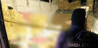 Adulto mayor muere tras sufrir caída en La Palizada, Madero